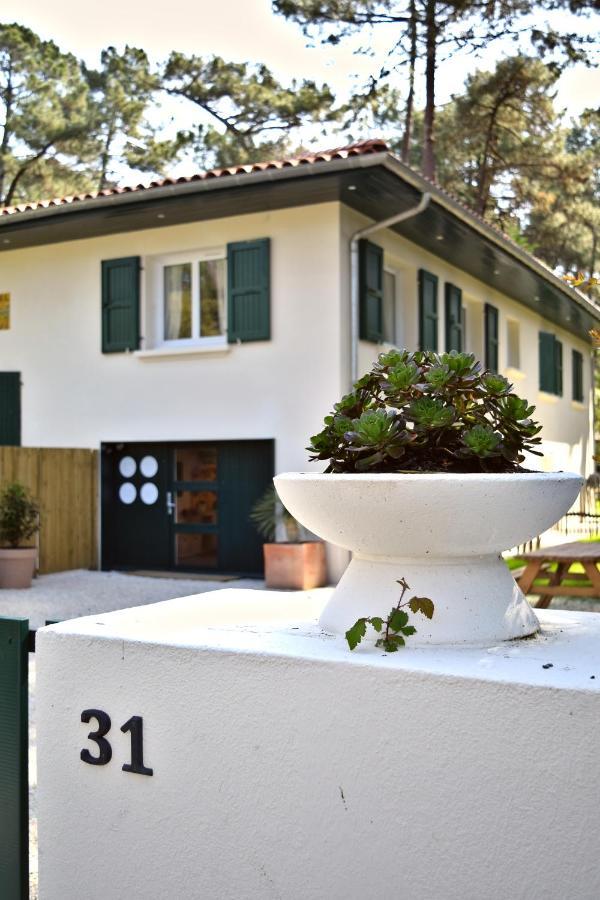 Julia Blue, Villa Hostal Naou Hossegor - Sauna - Salle De Sport - Wifi - Netflix Soorts-Hossegor Exterior photo